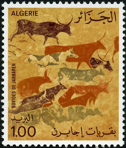 Cattle of Jabbaren