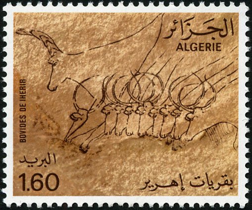 Cattle (Iherir)
