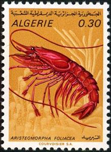 Stamp, Giant Red Shrimp (Aristeomorpha foliacea), Algeria,  , Sea Life, Crustaceans, Animals (Fauna)