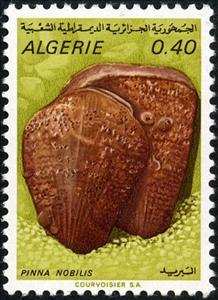 Stamp, Pen Shell (Pinna nobilis), Algeria,  , Molluscs, Sea Life, Shells, Animals (Fauna)