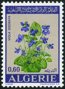 Stamp, Flowers- Violet, Algeria,  , Flowers, Plants (Flora)