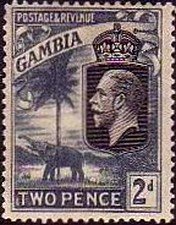King George V., African Elephant (Loxodonta africana)