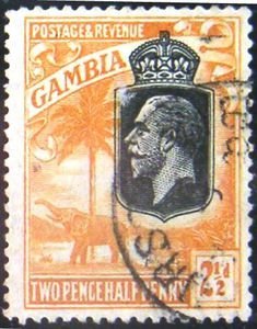 King George V., African Elephant (Loxodonta africana)