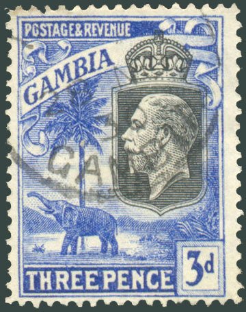 King George V., African Elephant (Loxodonta africana)