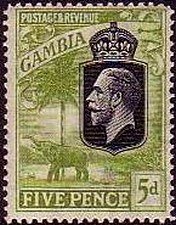 King George V., African Elephant (Loxodonta africana)