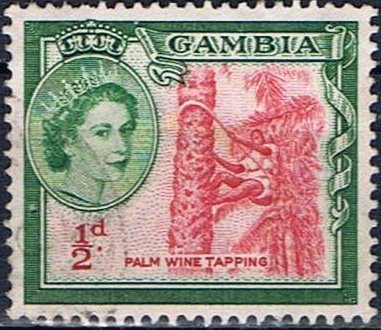 Palm-wine-harvest