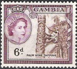 Palm-wine-harvest