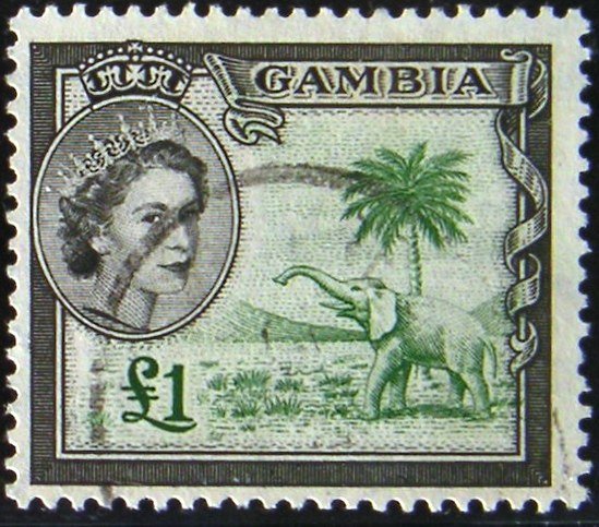 Queen Elizabeth II., African Elephant (Loxodonta africana)