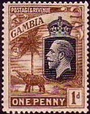 King George V., African Elephant (Loxodonta africana)