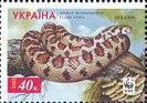 Leopard Snake (Elaphe situla)