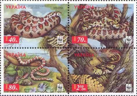 Leopard Snake (Elaphe situla)