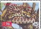 Leopard Snake (Elaphe situla)