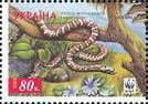 Leopard Snake (Elaphe situla)