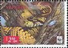 Leopard Snake (Elaphe situla)