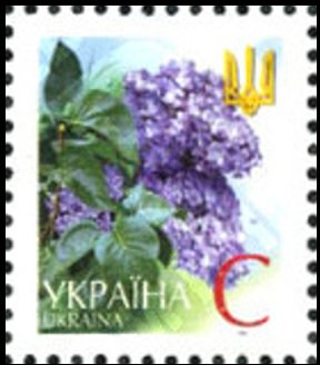 Lilac (C)