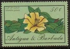 Stamp, Cup of Gold, Antigua and Barbuda,  , Flowers