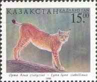 Turkestan Lynx (Lynx lynx isabellinus)