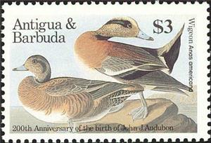 Stamp, American Widgeon (Anas americana), Antigua and Barbuda,  , Birds, Animals (Fauna)