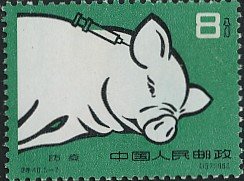 Stamp, Pig breed, China, People's Republic,  , Agriculture, Pigs