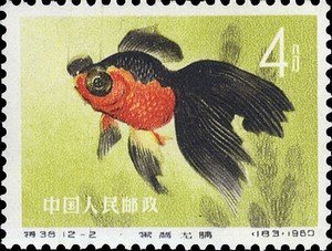 Stamp, Goldfish (Carassius auratus auratus), China, People's Republic,  