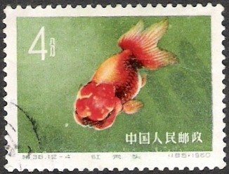 Stamp, Goldfish (Carassius auratus auratus), China, People's Republic,  