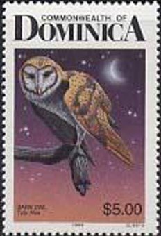 Stamp, Common Barn Owl (Tyto alba), Dominica,  , Owls