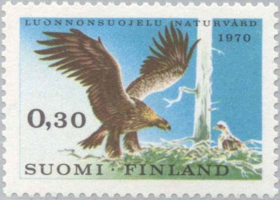 Golden Eagle (Aquila chrysaetos) with Young on its Nest