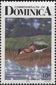 Stamp, Striated Heron (Butorides striatus), Dominica,  