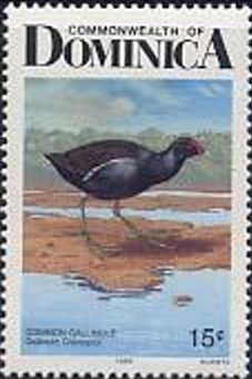 Stamp, Common Moorhen (Gallinula chloropus), Dominica,  