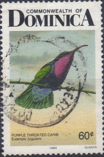 Purple-throated Carib (Eulampis jugularis)