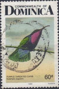 Stamp, Purple-throated Carib (Eulampis jugularis), Dominica,  
