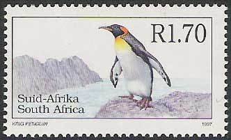 King Penguin (Aptenodytes patagonicus)