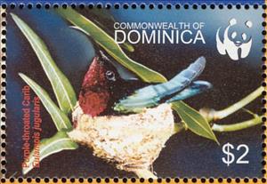 Stamp, Purple-throated Carib (Eulampis jugularis), Dominica,  , Birds, WWF, Animals (Fauna)