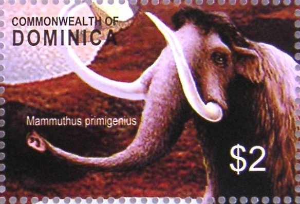 Wooly Mammoth (Mammuthus primigenius)