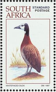 Stamp, White-faced Whistling Duck (Dendrocygna viduata), South Africa,  , Birds, Animals (Fauna)