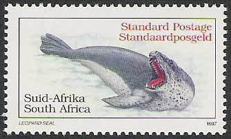 Leopard Seal (Hydrurga leptonyx)