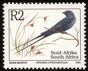 Stamp, Blue Swallow (Hirundo atrocaerulea), South Africa,  , Birds, Animals (Fauna)