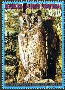 Stamp, Common Scops Owl (Otus scops), Equatorial Guinea,  , Birds, Birds of Prey, Owls, Animals (Fauna)
