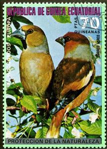 Stamp, Hawfinch (Coccothraustes coccothraustes), Equatorial Guinea,  , Birds, Animals (Fauna)