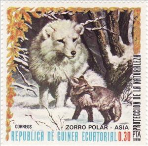 Stamp, Polar Fox (Vulpes lagopus), Equatorial Guinea,  , Mammals, Foxes, Animals (Fauna)