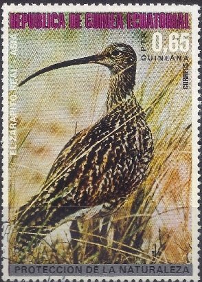 Stamp, Whimbrel (Numenius phaeopus), Equatorial Guinea,  , Birds, Animals (Fauna)