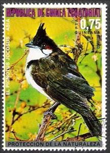 Stamp, Red-whiskered Bulbul (Pycnonotus jocosus), Equatorial Guinea,  , Birds, Animals (Fauna)