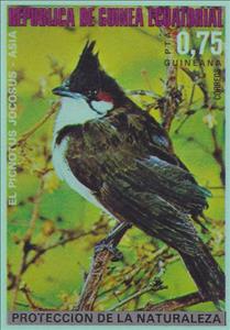 Stamp, Red-whiskered Bulbul (Pycnonotus jocosus), Equatorial Guinea,  , Birds, Animals (Fauna)