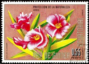Stamp, Nerium oleander, Equatorial Guinea,  , Flowers, Plants (Flora)