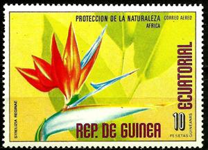 Stamp, Strelizia reginae, Equatorial Guinea,  , Flowers, Plants (Flora)
