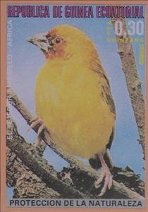Stamp, Holub's Golden Weaver (Textor xanthops) , Equatorial Guinea,  , Birds, Animals (Fauna)