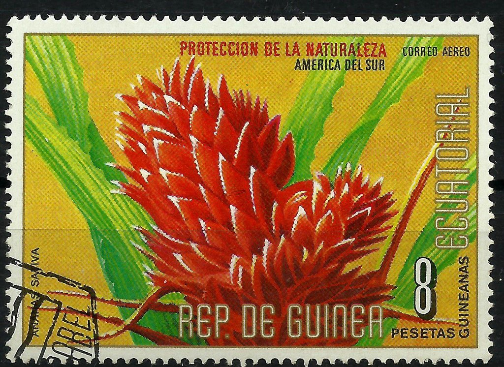 Ananas sabiva
