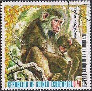 Stamp, Japanes Macaque (Macaca fuscata), Equatorial Guinea,  , Mammals, Monkeys, Animals (Fauna)