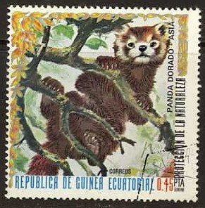 Stamp, Red Panda (Ailurus fulgens), Equatorial Guinea,  , Mammals, Animals (Fauna)