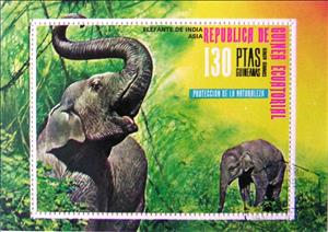 Souvenir Sheet, Asian Elephant (Elephas maximus), Equatorial Guinea,  , Mammals, Elephants, Animals (Fauna)